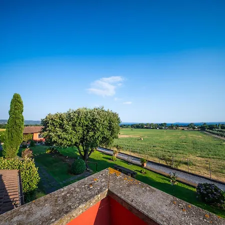 L'elce Bolsena